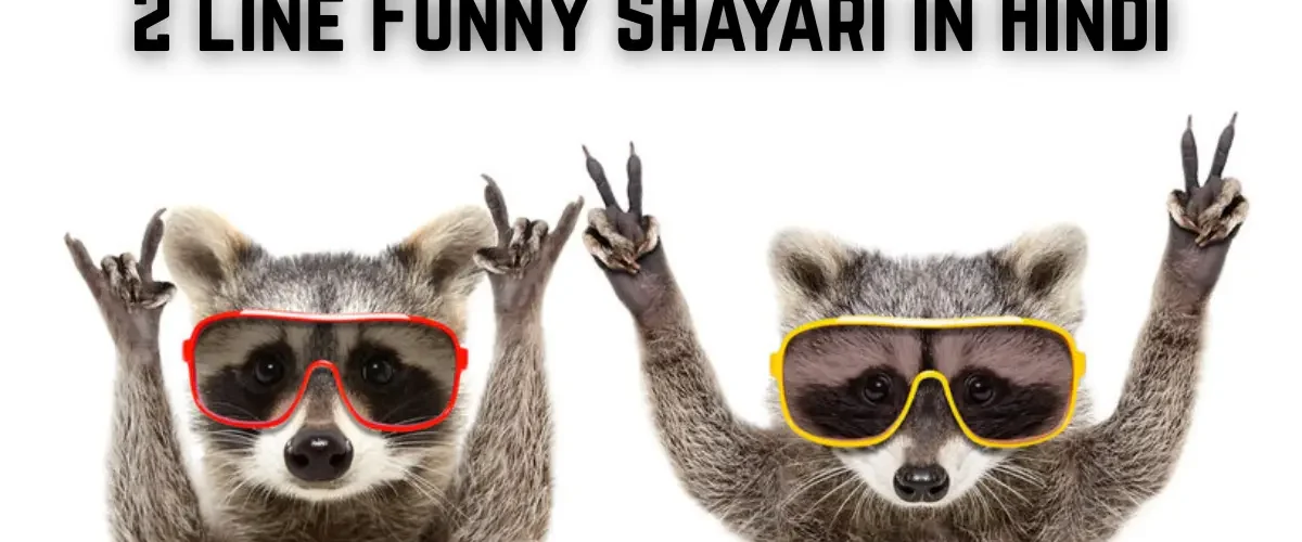 2 line funny shayari in hindi