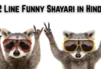 2 line funny shayari in hindi