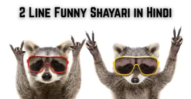 2 line funny shayari in hindi