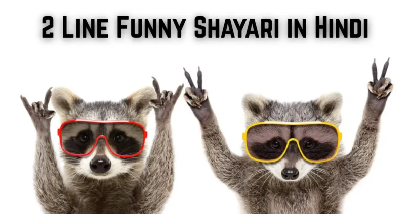 2 line funny shayari in hindi