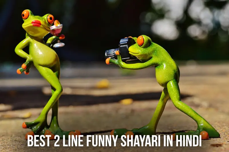 best 2 line funny shayari in hindi