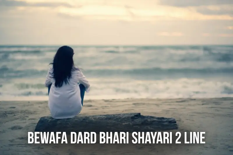 bewafa dard bhari shayari 2 line