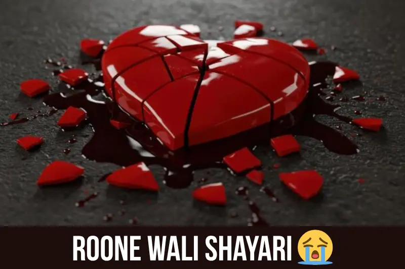 roone wali shayari